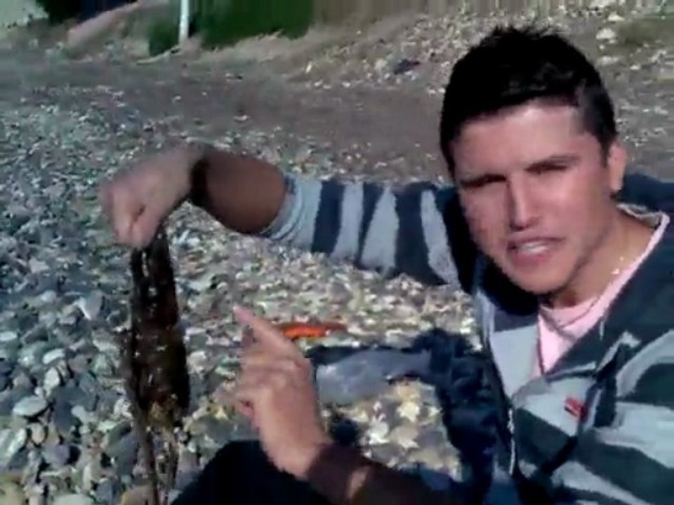 ahhhmede kapak olsun