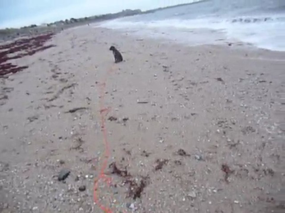 EWANE en bord de mer vol.4