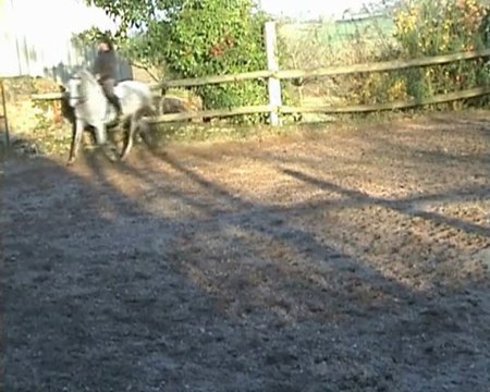 Maltosa montée au trot fin 19.11.09 pour YT