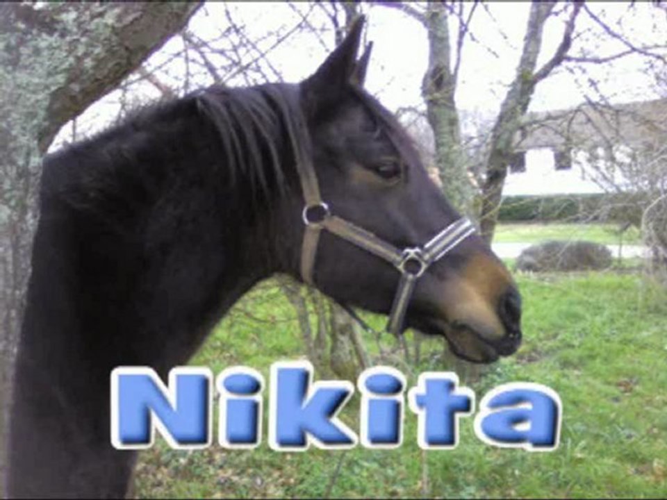 Nikita