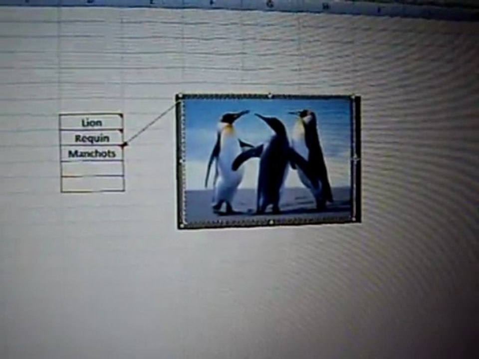 Image dans un commentaire sous excel
