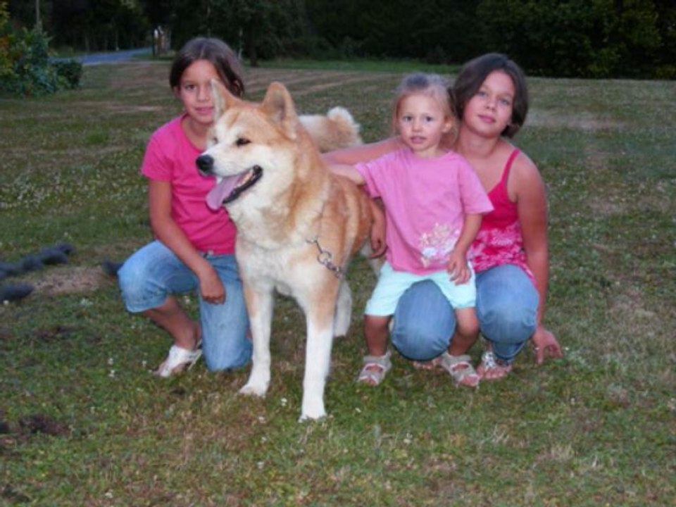 Nos Chiens, nos amours