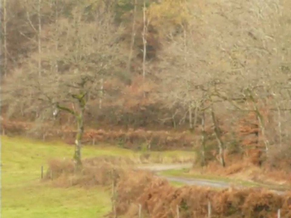 ES1 cantal 2009 J.R. CHABOT