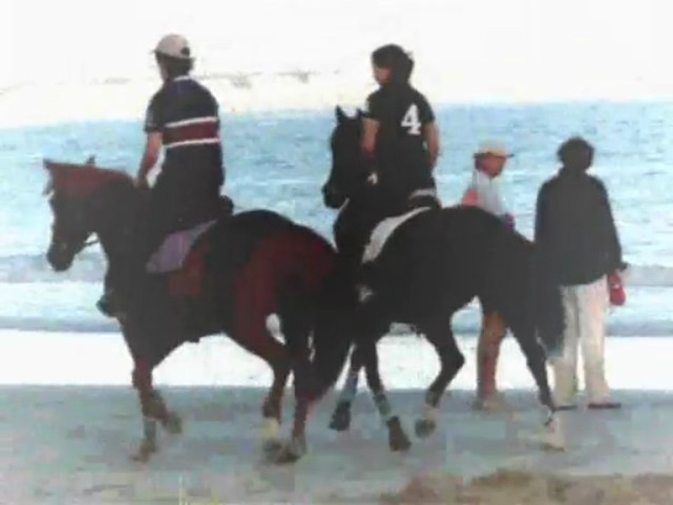 Remember. Alice Galop La Baule