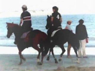 Remember. Alice Galop La Baule