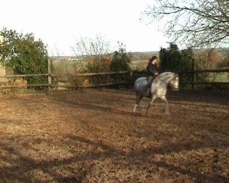 Maltosa montée au trot 2è partie 19.11.09 pour YT