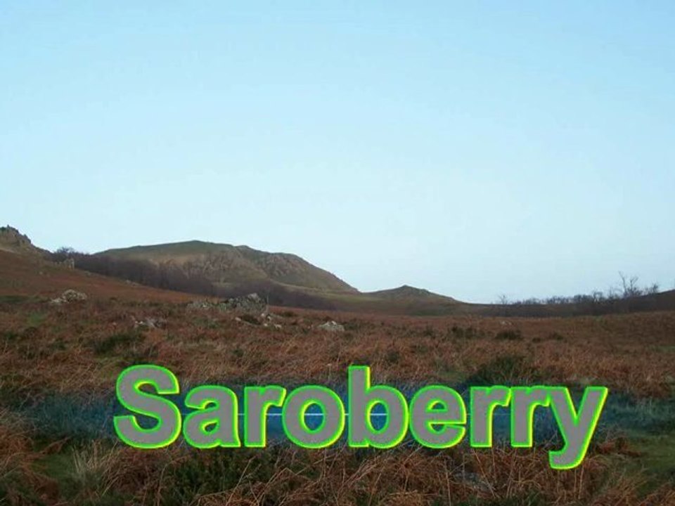 SOTA F_PO-184 - Saroberry