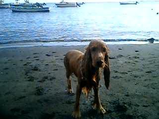 Etang Salé Mai 2006