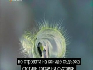 Worlds Worst Venom part3 National Geographic