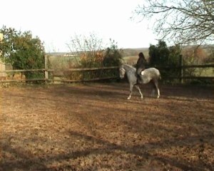 Maltosa montée  au trot 20.11.09 1ère partie