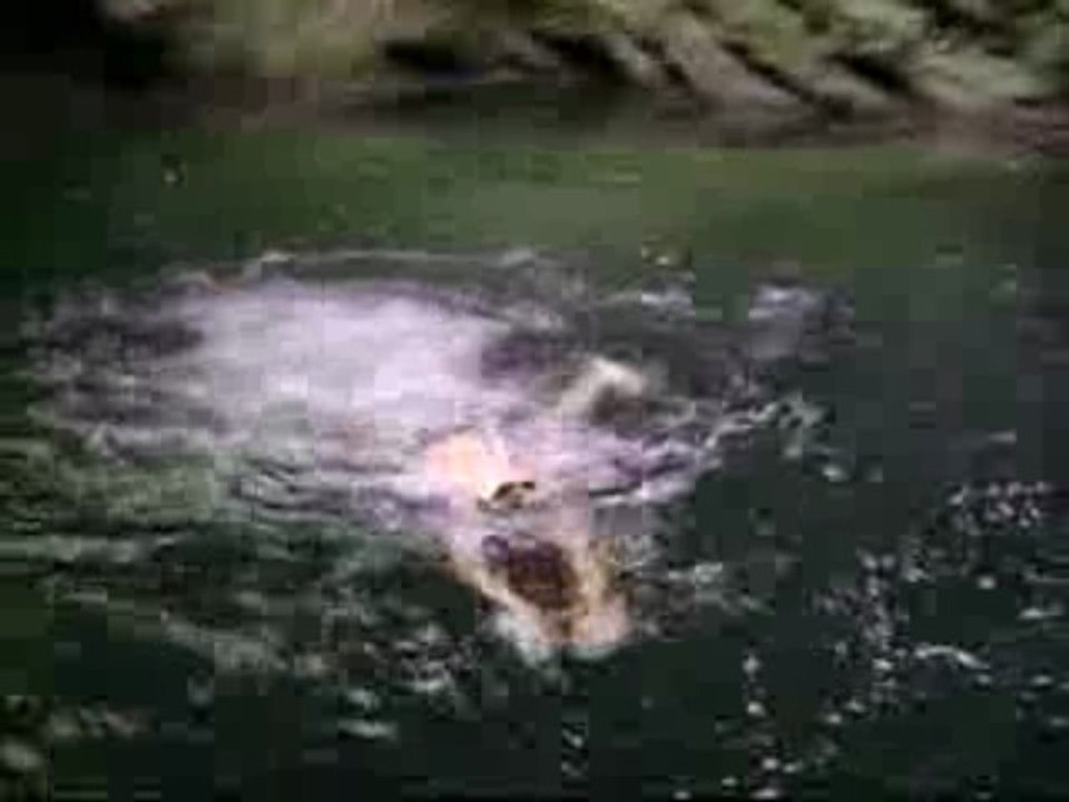 Julien au pont
