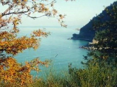 Karasuda pazar var 57.Ayancık tepecik köyü