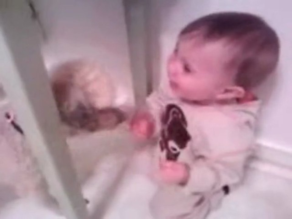 Laughing Baby Teasing Dog