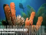 Passion Evasion reserve cousteau guadeloupe