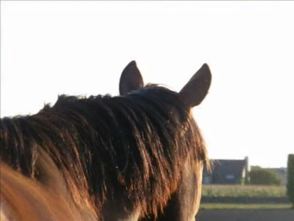 Precious, Karel & Emma