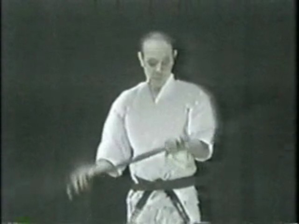 Warrior Pages: Bo Sparring & Kata