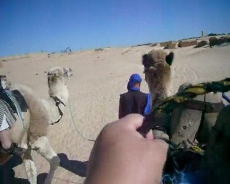 Ballade en Dromadaire aux portes du Désert Tunisien à DOUZ