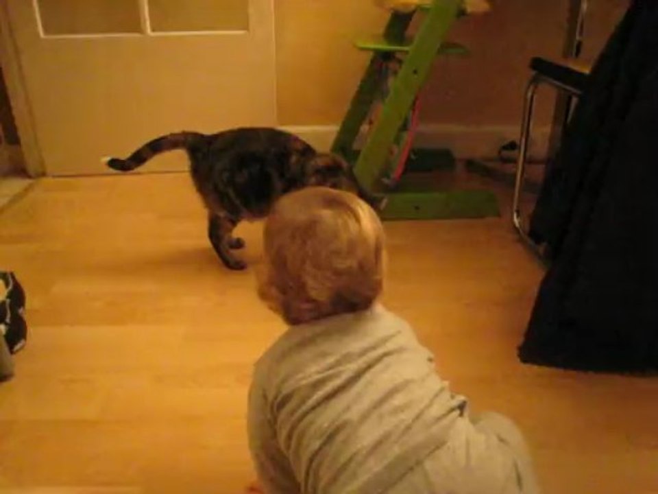 on joue le chat ?