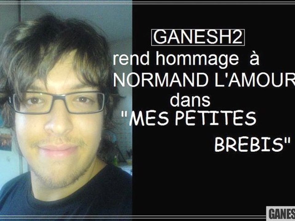 A LA MANIERE DE NORMAND L'AMOUR: "Mes petites brebis"