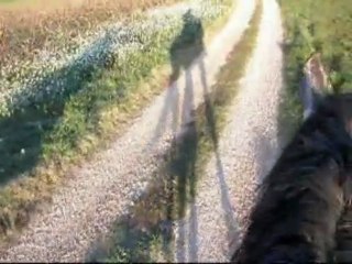 Suite de la balade du 20/11