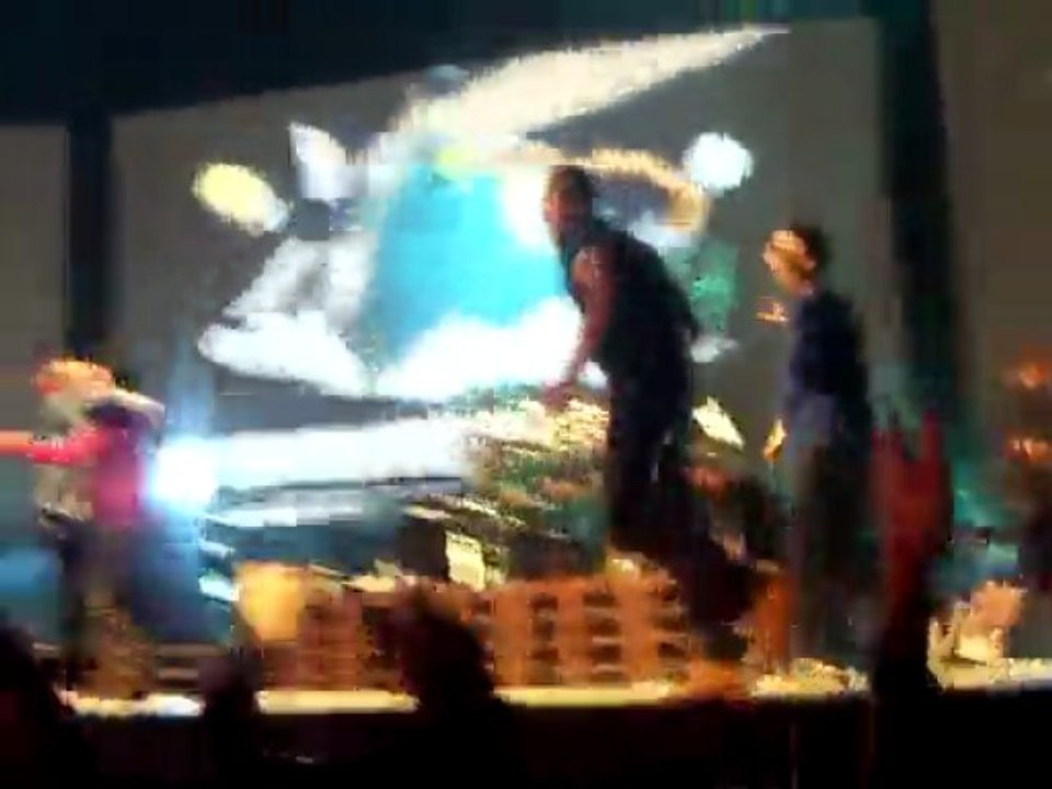 Concert Tryo Novembre 2009 Rennes  FIN