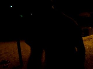 le reveil du titan ( portugal - domin )