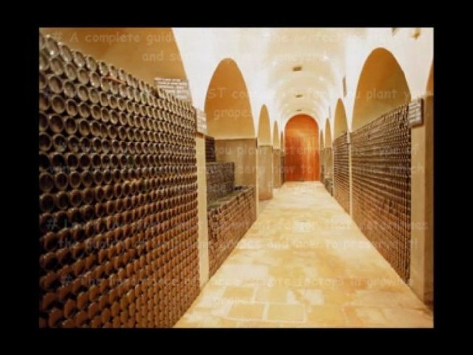 How to make Wine-Online Winemaking Book