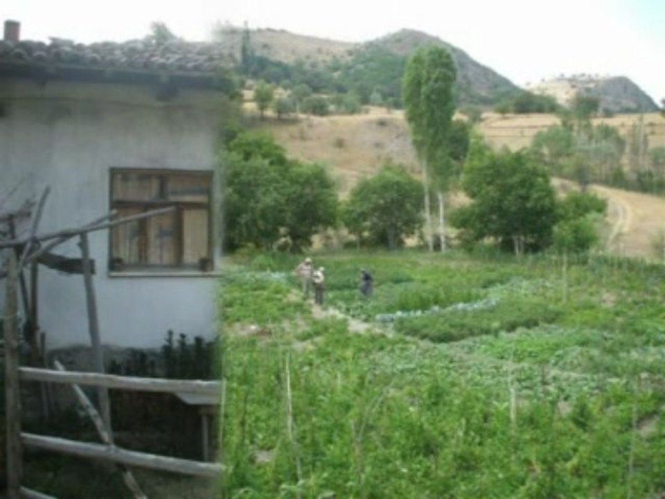 Pusacık Köyü www.pusacik.com Mustafa Çelik