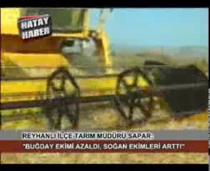 BUĞDAY EKİM ALANLARI AZALDI