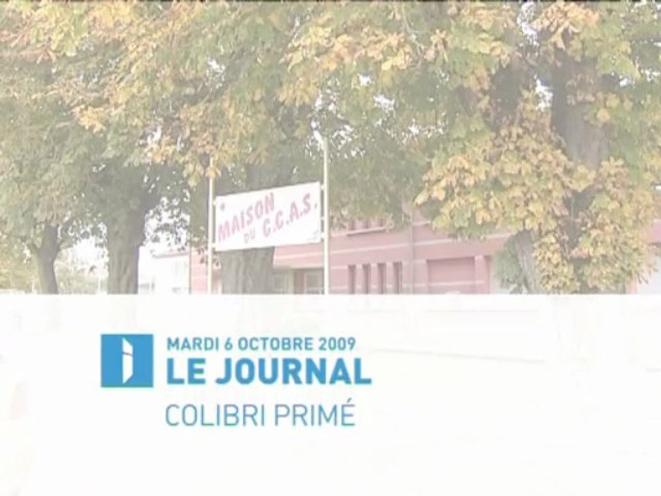 COLIBRI Reportage Images Plus (CCAS Neufchâteau)