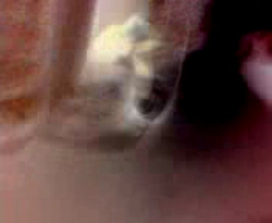 MOV0120A