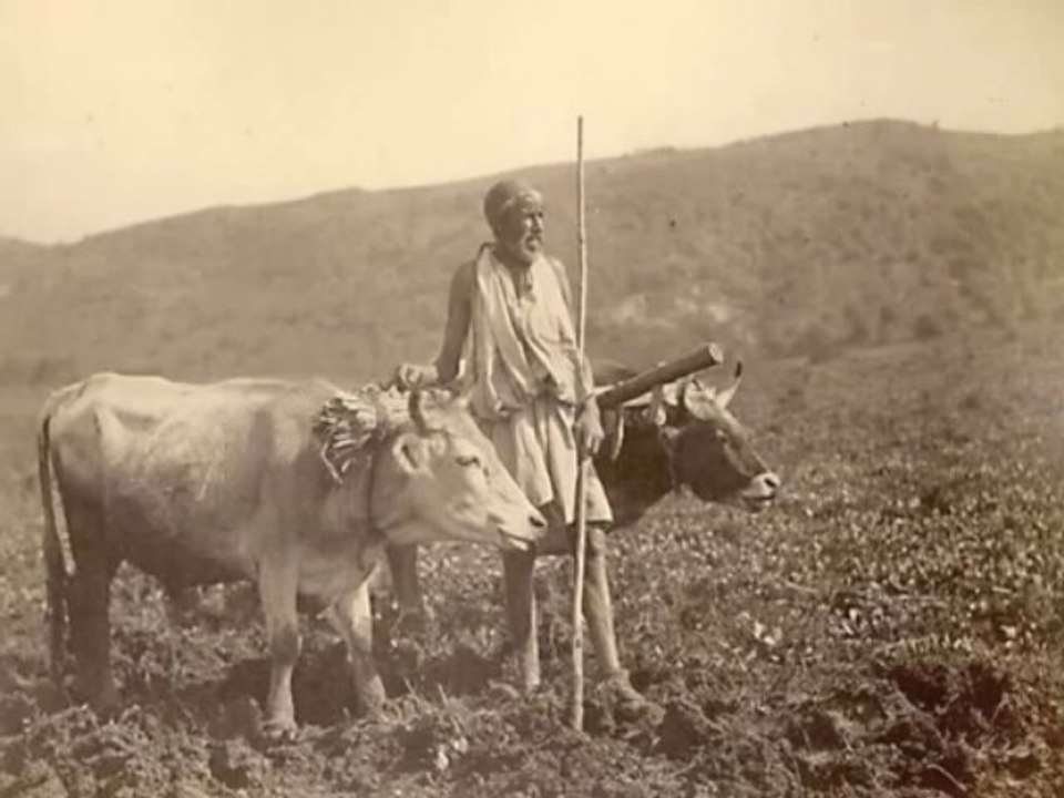 Bernard Lugan, Origine des Berbères. Part 2