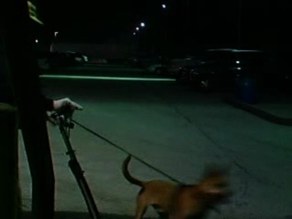Rolling with Woody(Parking Lot Bong)