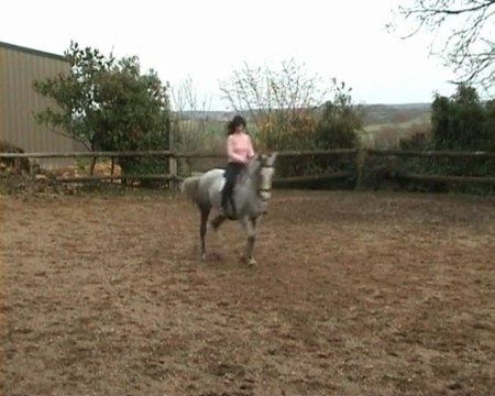 Maltosa montée au trot 21.11.09