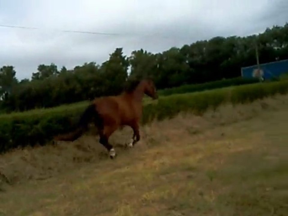 Orion liberté en août 2009