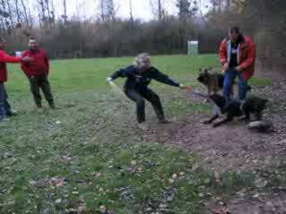 Mordant 21 novembre Cross