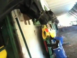 TS Fay Works, Some Cooling Tips, and a Great Run by Tiny.