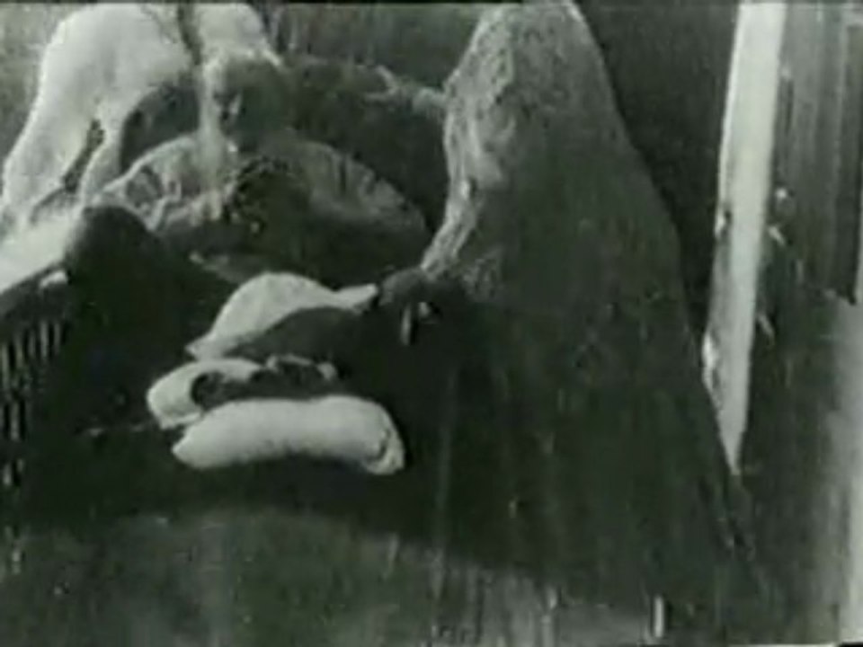 Leo Tolstoy Yasnaya Polyana