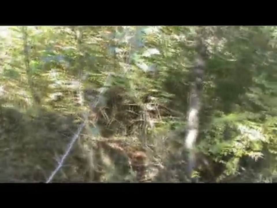 babamların evden annemlerin eve gidiş 2.bölüm