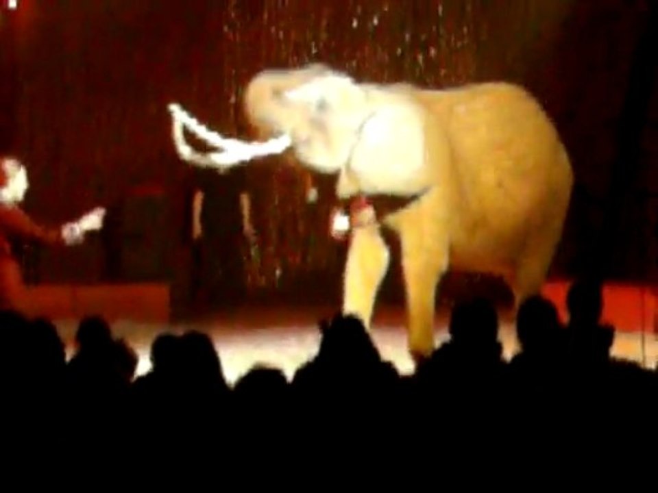 CIRQUE ACHILLE ZAVATTA