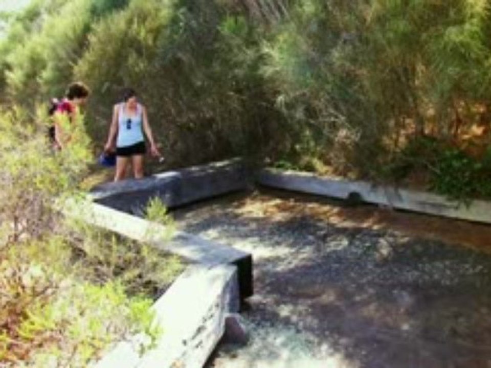 Manly Bike Tours - Dobroyd Head and Spit Bridge