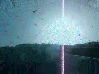 Chasse sous marine cèdric