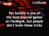 Tips for Playing Facebook Games like Pet Society
