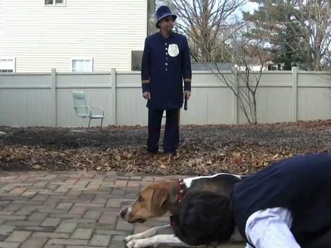 Wally on the Run - Darren's contest entry