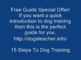 15 Steps To Dog Training