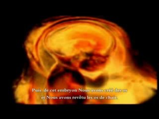 Les étapes de la vie ( Français )