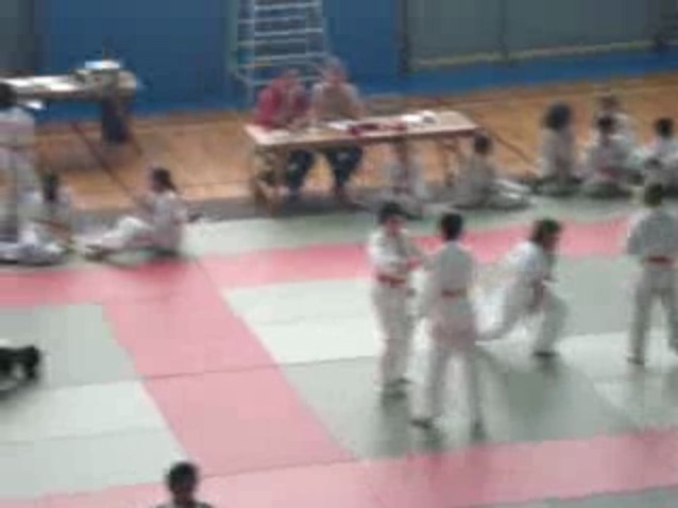 2008 les petits tigre