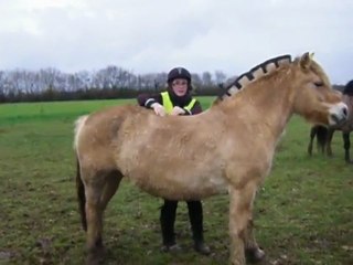 Didine Massage Therapy 💆‍♂️