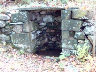 Fahriye Guney - Kaynanayı napmalı