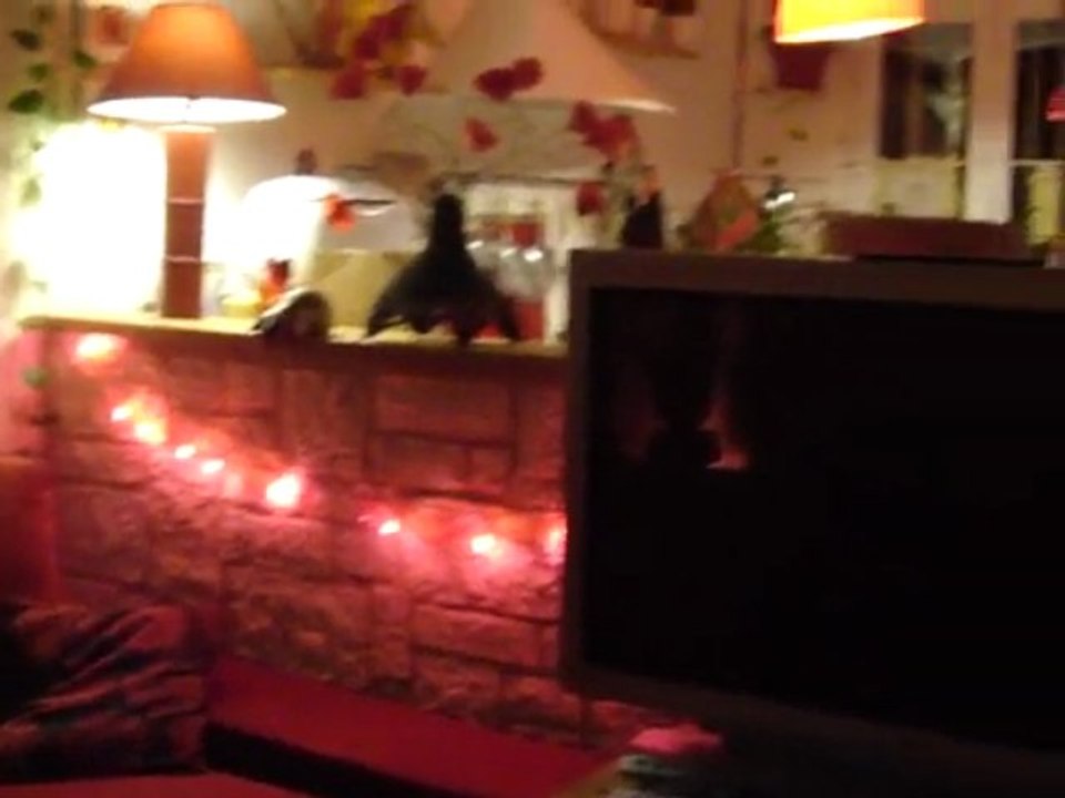 Magie de Noel